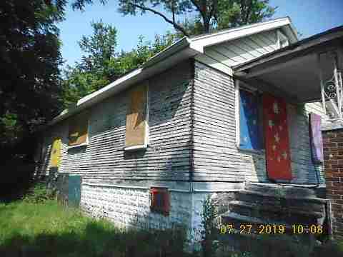 16737 Dolphin (2)_m.jpg